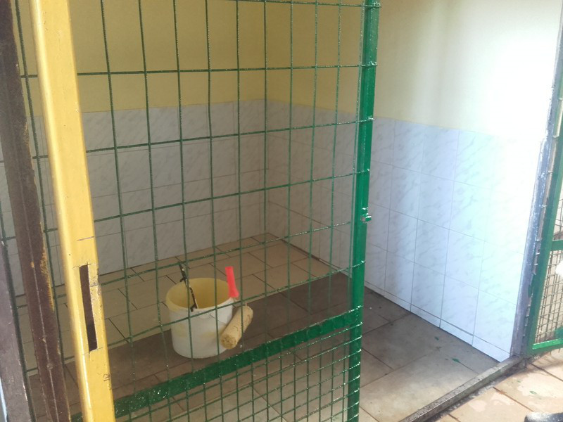 Umbau Tierheim Törökbalint
